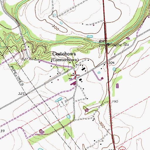 Topographic Map of Cestohowa, TX