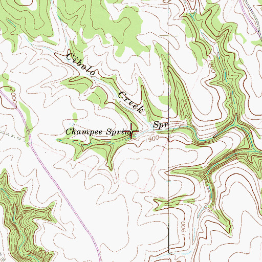 Topographic Map of Champee Spring, TX