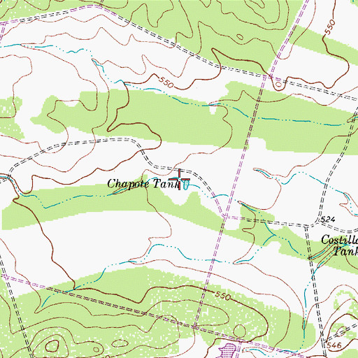 Topographic Map of Chapote Tank, TX