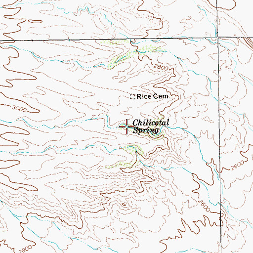 Topographic Map of Chilicotal Spring, TX