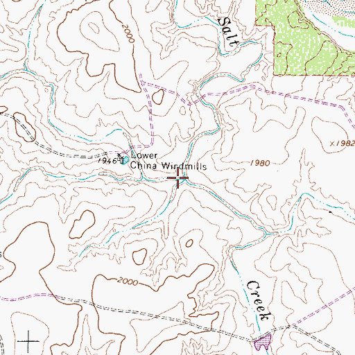 Topographic Map of China Canyon, TX