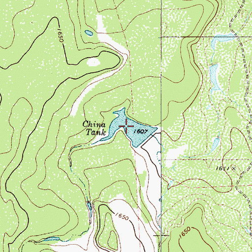 Topographic Map of China Tank, TX