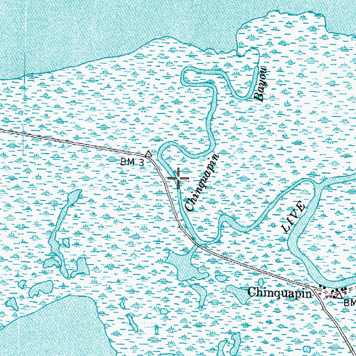 Topographic Map of Chinquapin Bayou, TX