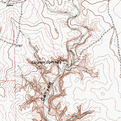 Topographic Map of Chisum Spring, TX