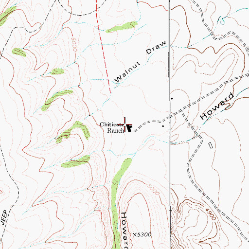 Topographic Map of Chiticote Ranch, TX