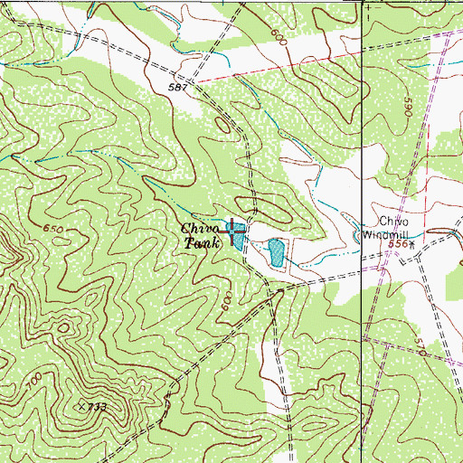 Topographic Map of Chivo Tank, TX