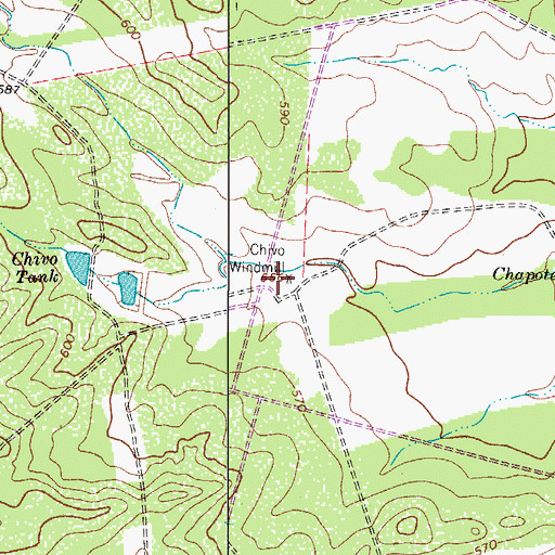 Topographic Map of Chivo Windmill, TX