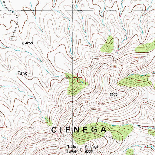 Topographic Map of Cienega Mountains, TX