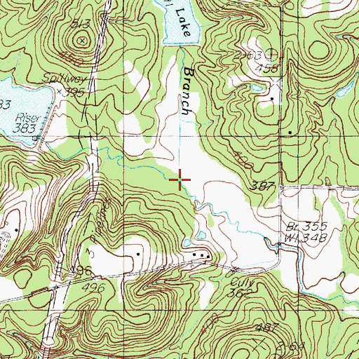 Topographic Map of Clear Branch, TX