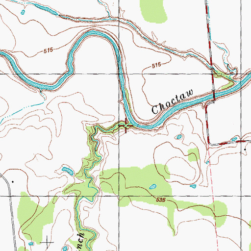 Topographic Map of Cleveland Branch, TX