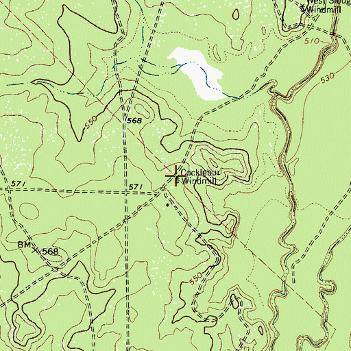 Topographic Map of Cocklebur Windmill, TX