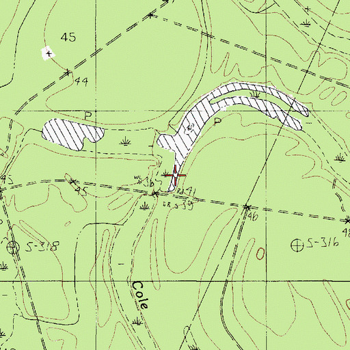 Topographic Map of Cole Slough, TX