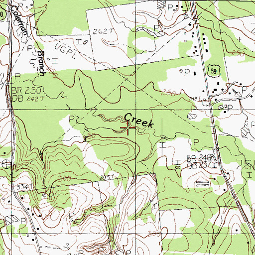 Topographic Map of Coleman Branch, TX