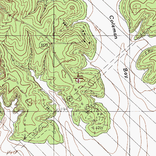 Topographic Map of Coleman Cemetery, TX