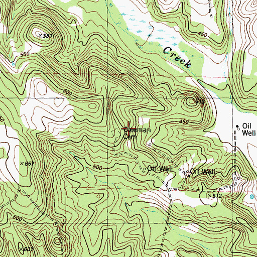 Topographic Map of Coleman Cemetery, TX