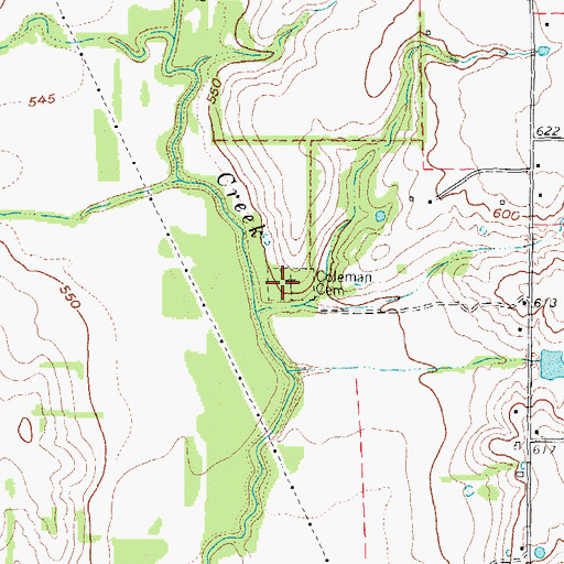 Topographic Map of Coleman Cemetery, TX