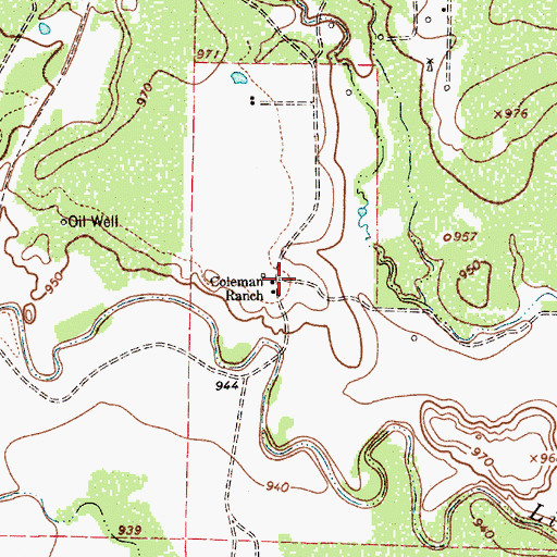 Topographic Map of Coleman Ranch, TX
