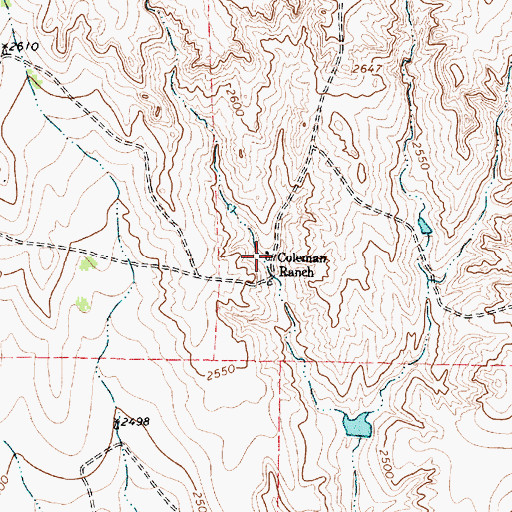 Topographic Map of Coleman Ranch, TX