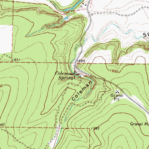 Topographic Map of Coleman Spring, TX