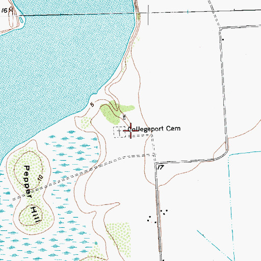 Topographic Map of Collegeport Cemetery, TX