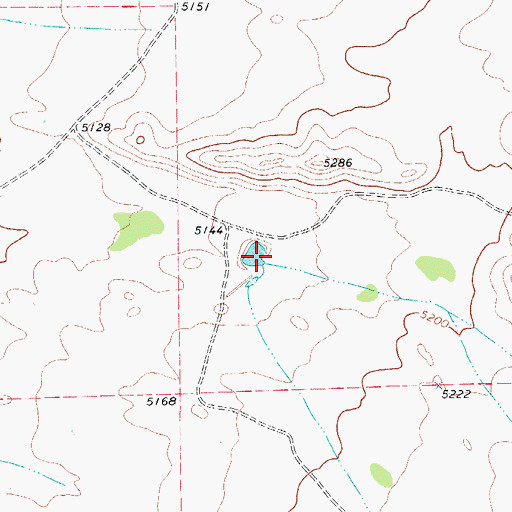 Topographic Map of Collier Draw, TX