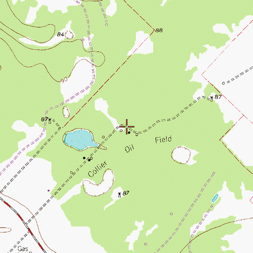 Topographic Map of Collier Oil Field, TX