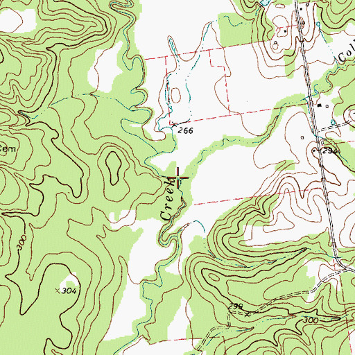 Topographic Map of Collins Branch, TX