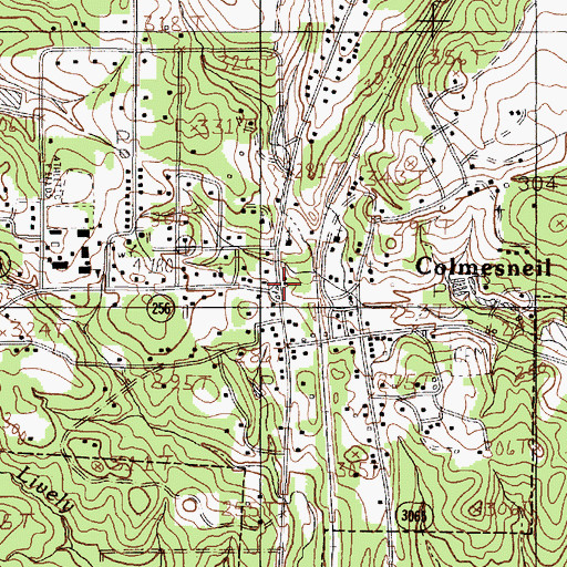 Topographic Map of Colmesneil, TX
