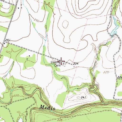 Topographic Map of Colony Cemetery, TX