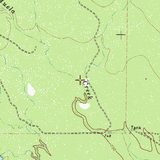 Topographic Map of Conejos Creek, TX