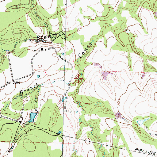 Topographic Map of Convict Branch, TX