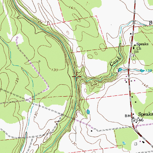 Topographic Map of Cook Branch, TX