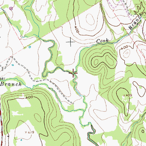 Topographic Map of Cook Branch, TX