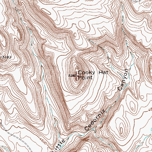 Topographic Map of Cooky Hat Point, TX