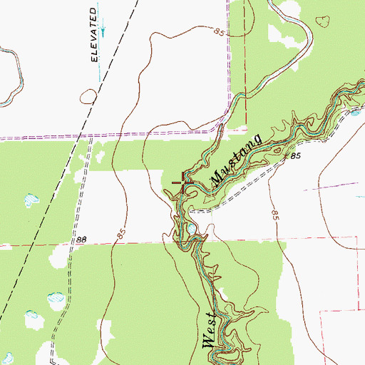 Topographic Map of Coon Branch, TX