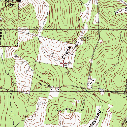 Topographic Map of Coon Branch, TX