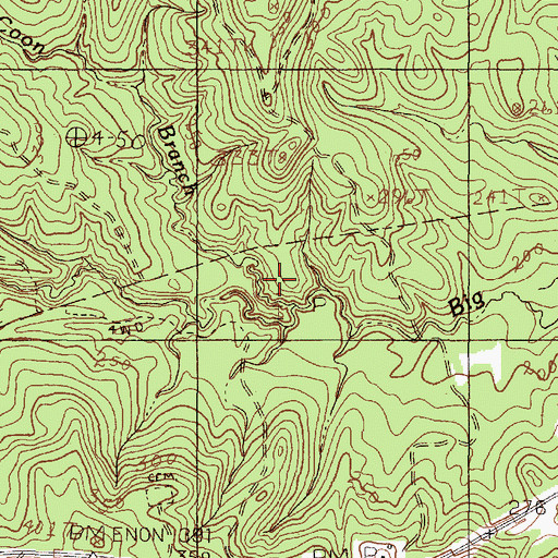Topographic Map of Coon Branch, TX