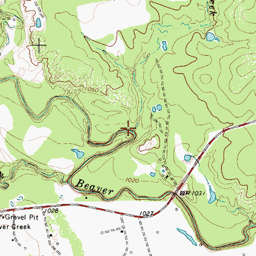 Topographic Map of Coon Creek, TX