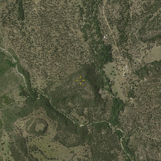 Aerial/Satellite Image of Coon Mountain, TX