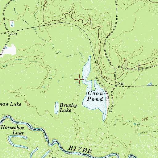 Topographic Map of Coon Pond, TX