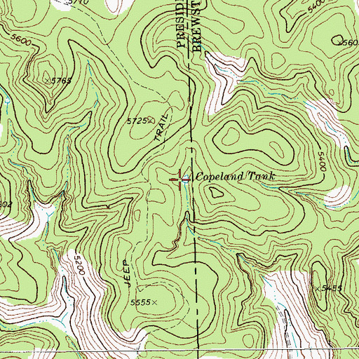 Topographic Map of Copeland Tank, TX