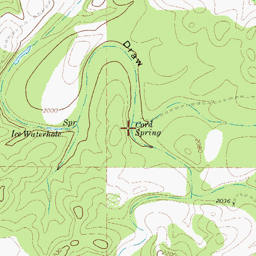 Topographic Map of Cord Spring, TX