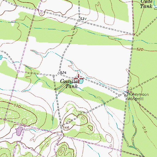 Topographic Map of Costilla Tank, TX