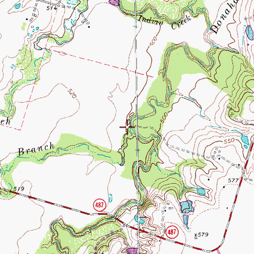 Topographic Map of Cottonwood Branch, TX