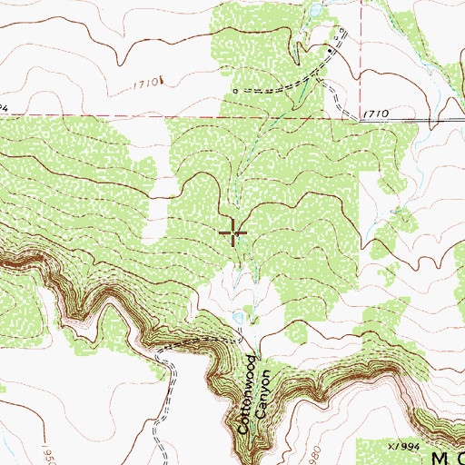 Topographic Map of Cottonwood Canyon, TX
