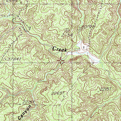 Topographic Map of Cottonwood Canyon, TX