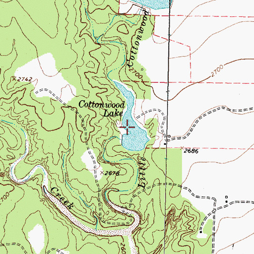 Topographic Map of Cottonwood Lake, TX