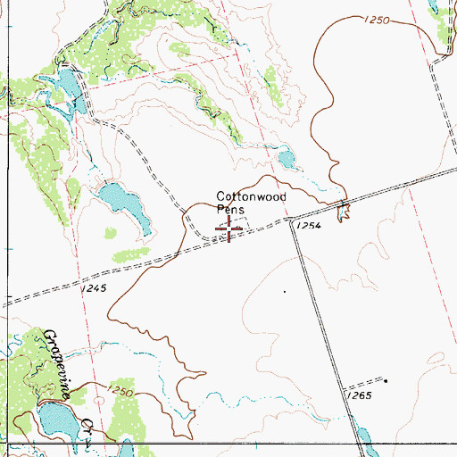 Topographic Map of Cottonwood Pens, TX