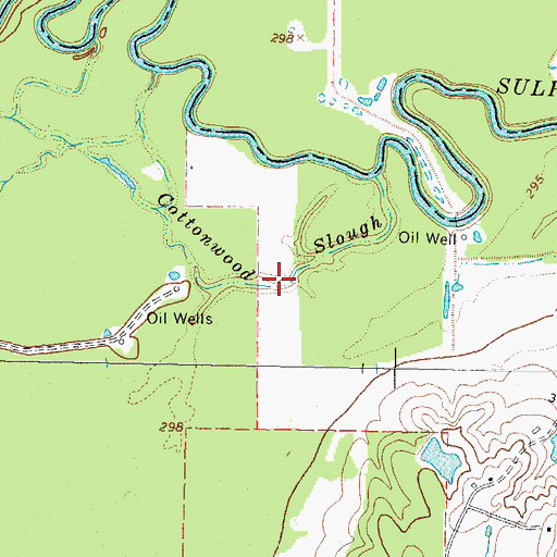 Topographic Map of Cottonwood Slough, TX