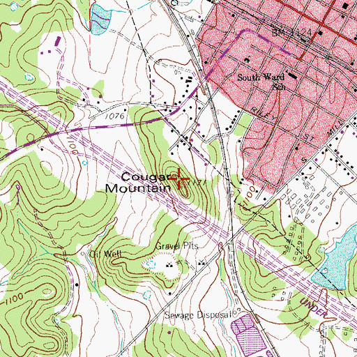 Topographic Map of Cougar Mountain, TX